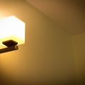 IMG_6920.jpg