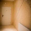 IMG_7148.jpg