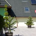 IMG_6776.jpg
